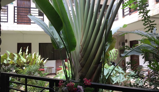 Balaibinda Lodge