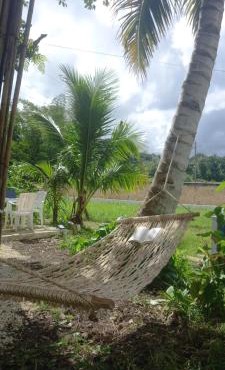 Bamboo Garden Tourist Inn