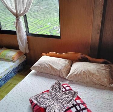 Batad View Inn and Restaurant