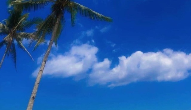 Beachfront and a stunning view of an island