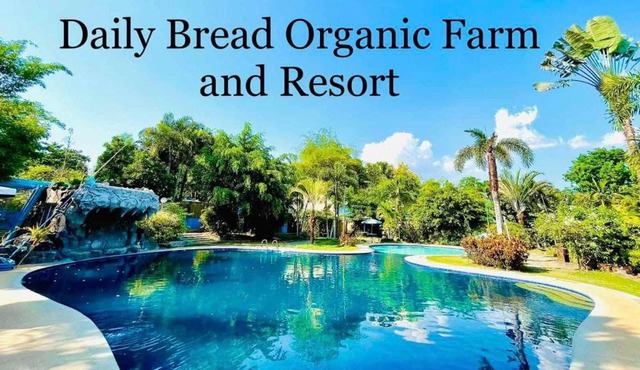 Daily Bread Organic Farm and Resort