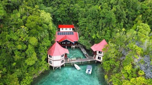Enchanted Cove