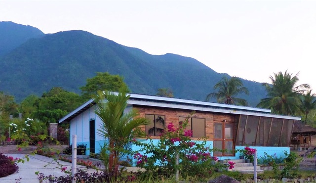 Experience sea & mountain views. Including view of White Island.