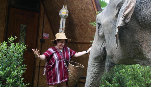 Hidden Gem Elephant