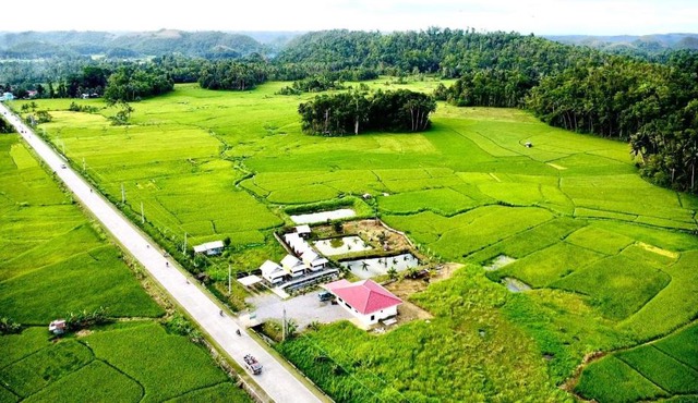 Jazz Ferme Inn Batuan Bohol