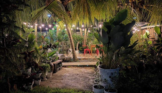 La Vida Hostel
