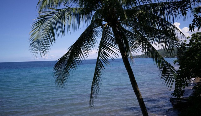 Las Flores Country & Beachside Hotel
