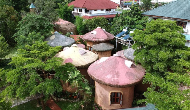 Leafy Greens Chiangmai : Mushroom House M1
