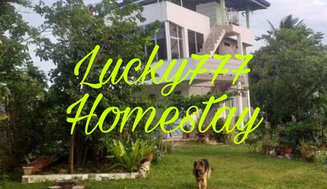 Lucky777 Homestay