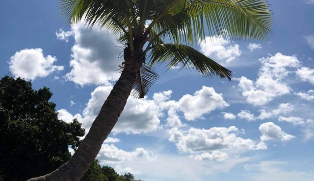 Magalong Beach Resort