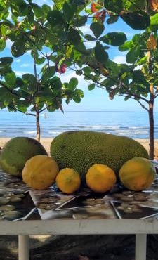 Mananambal Beach Huts - Hut 2