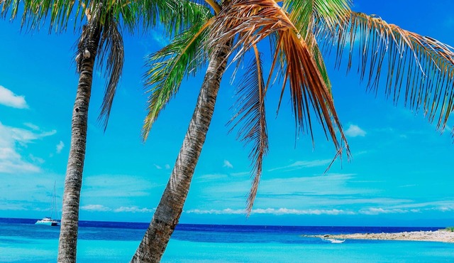 Marika Resort