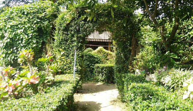 Mr Jan Guest House