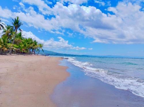 Nice Whitepebbles Beach Front