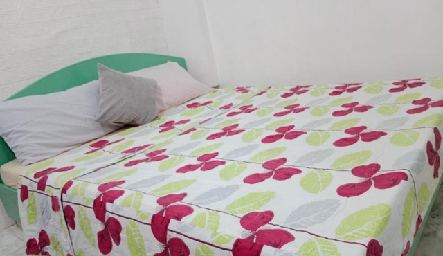 One Bedroom Apartment in Palompon