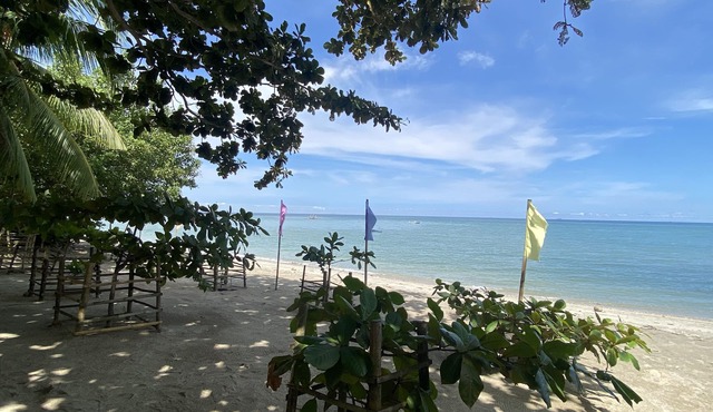 Palm Garden Resort