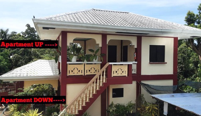 Peace Lily Studio Apartments Panglao