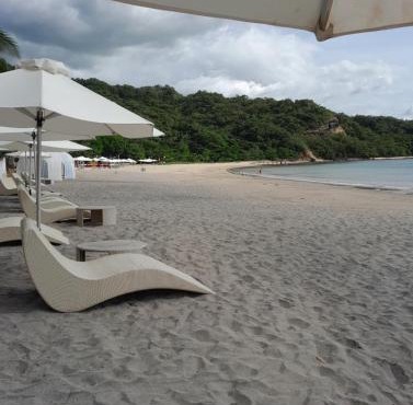 Pico de loro
