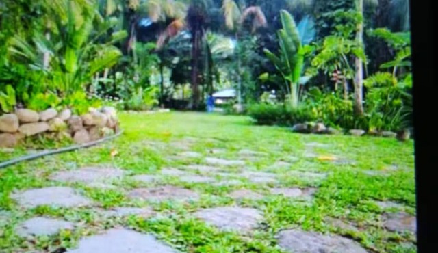 Princess Palace - Looc