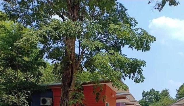 Sudachat Resort