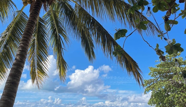 Tatak Balabac Beach Camp