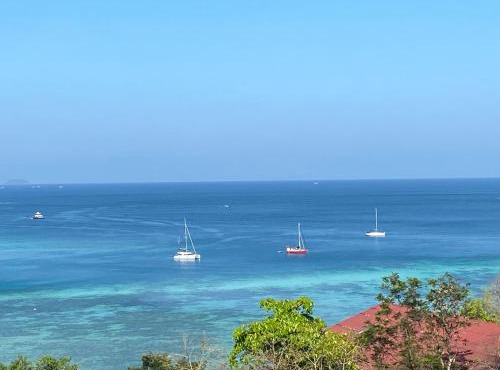 The view Hostel