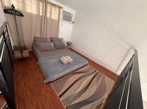 Tiny loftype house