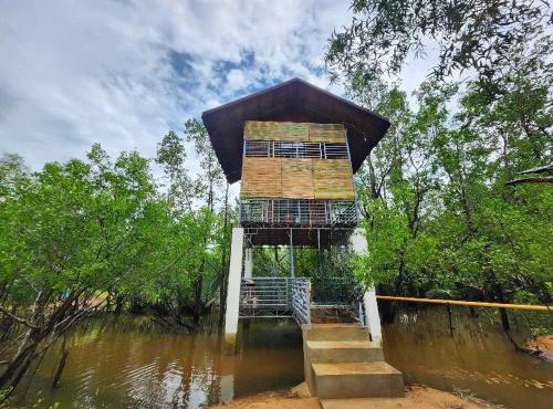 Tree House