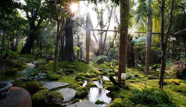 Treescape Resort Chiangmai