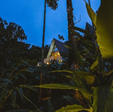 Vagamon leafmist frame cabin