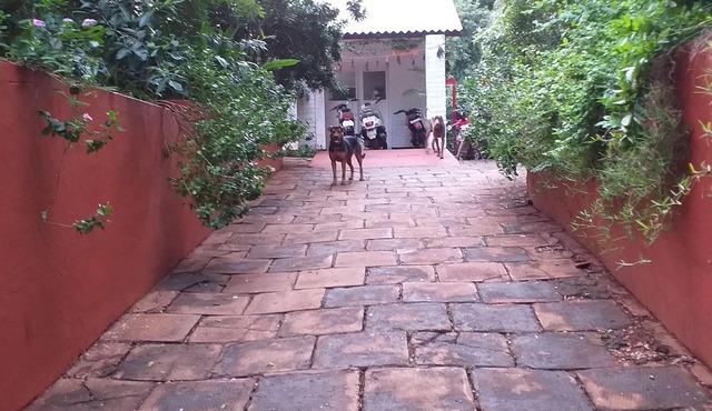 Property Image