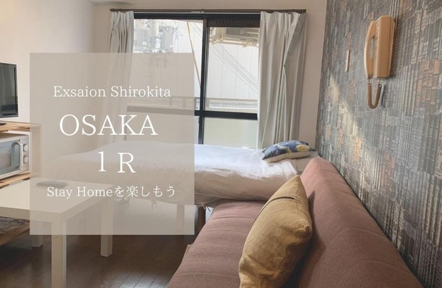 Exsaison Shirokita 311