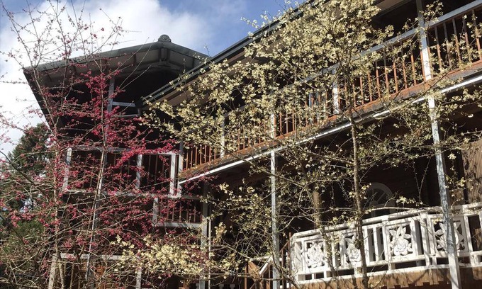 Xitou Hotel | 99 m² Motel ∙ 3 bedrooms ∙ 10 guests