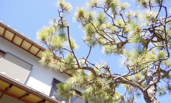 Mishima District Hostel | BOND - Hostel