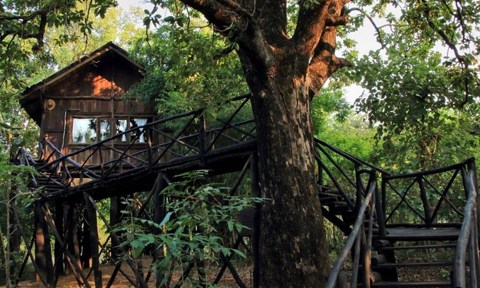 Tala Other | Camping ∙ 1 bedroom ∙ 3 guests