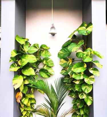 Thiruvananthapuram Apartment | Downtown Manor-Panavila