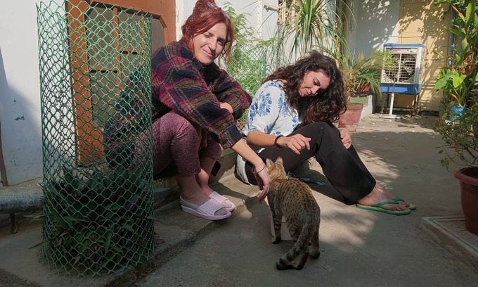 Sanganer Hostel | Hostel ∙ 8 guests