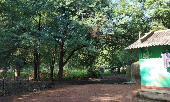 Chhotekawali Resort | Private room ∙ 2 guests