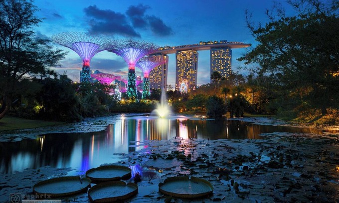 Orchard Apartment | Superior 3 Bedroom Apartment at Orchard Singapore