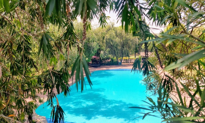 Bhandarej Hotel | Umaid Palace- An Organic Retreat