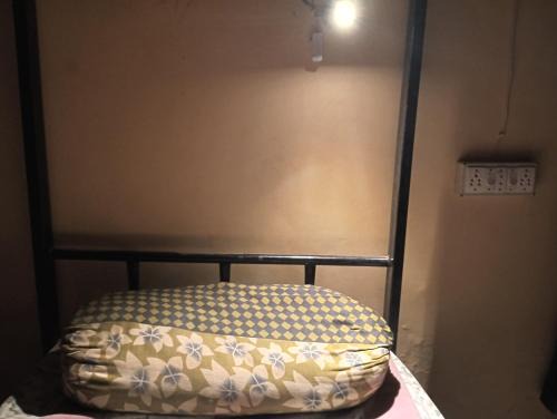 Alambagh Hostel | Wander Vibes Female DROM