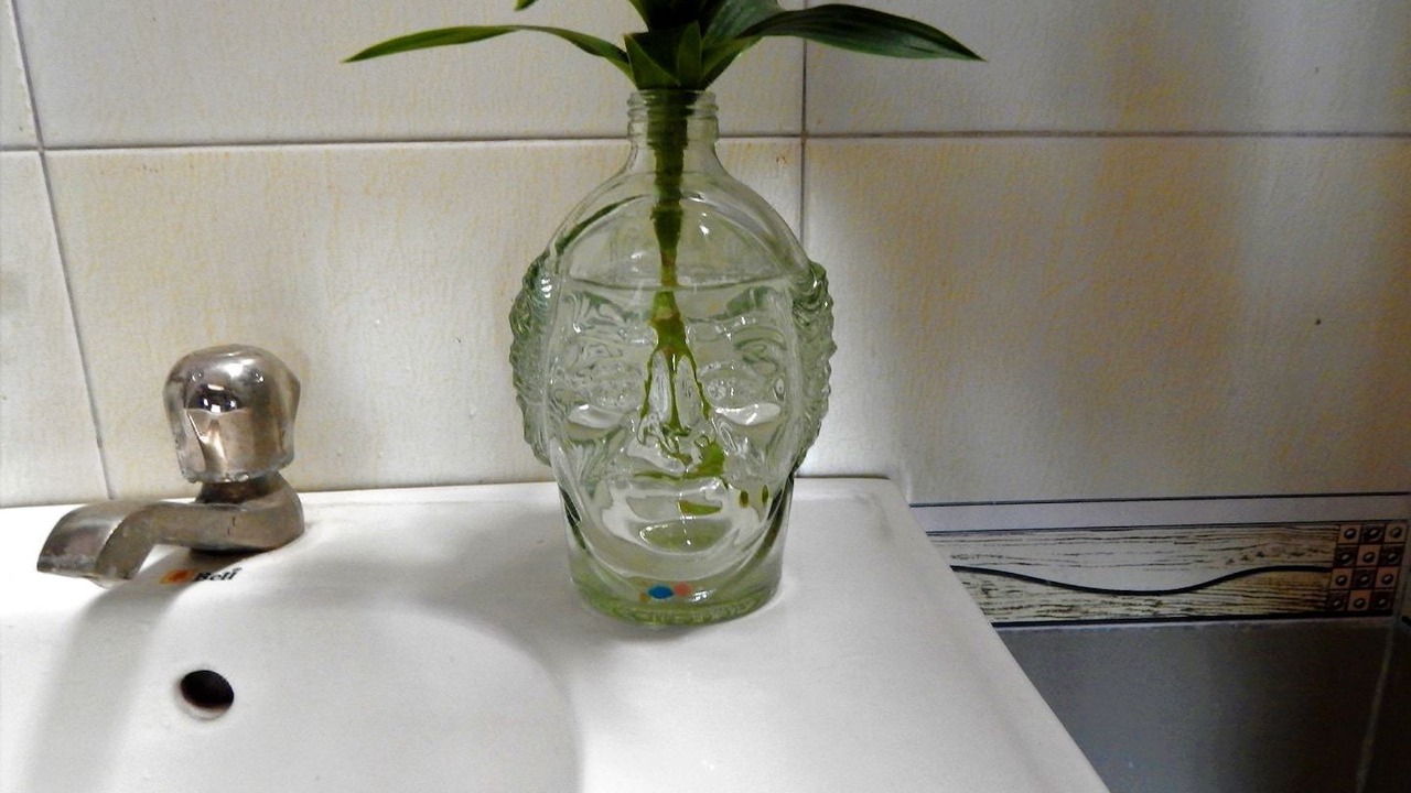 Photo of Bathroom in Jhotwara