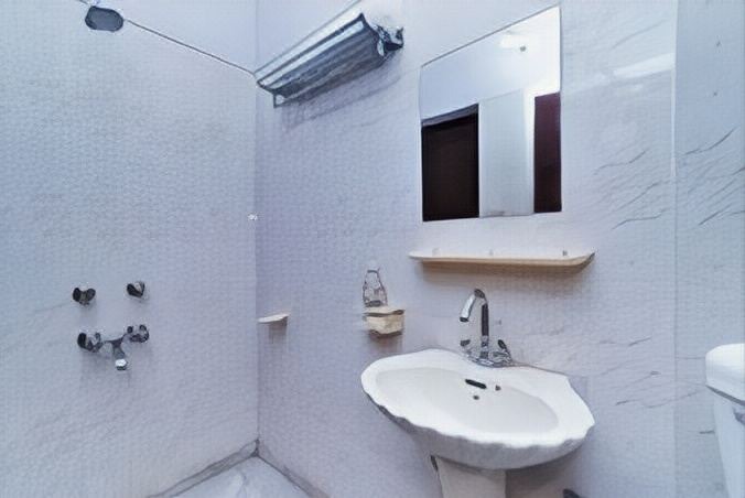 Photo of Bathroom in Bani Park