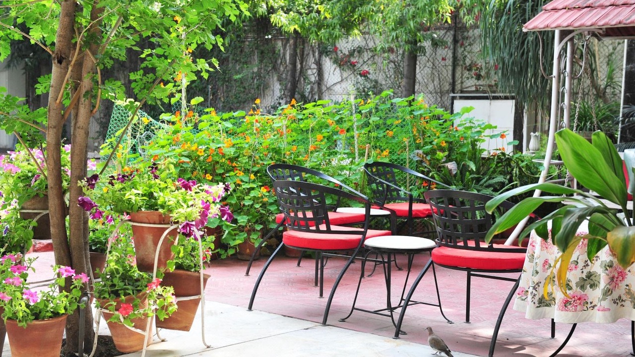 Photo of Patio Balcony in Bani Park