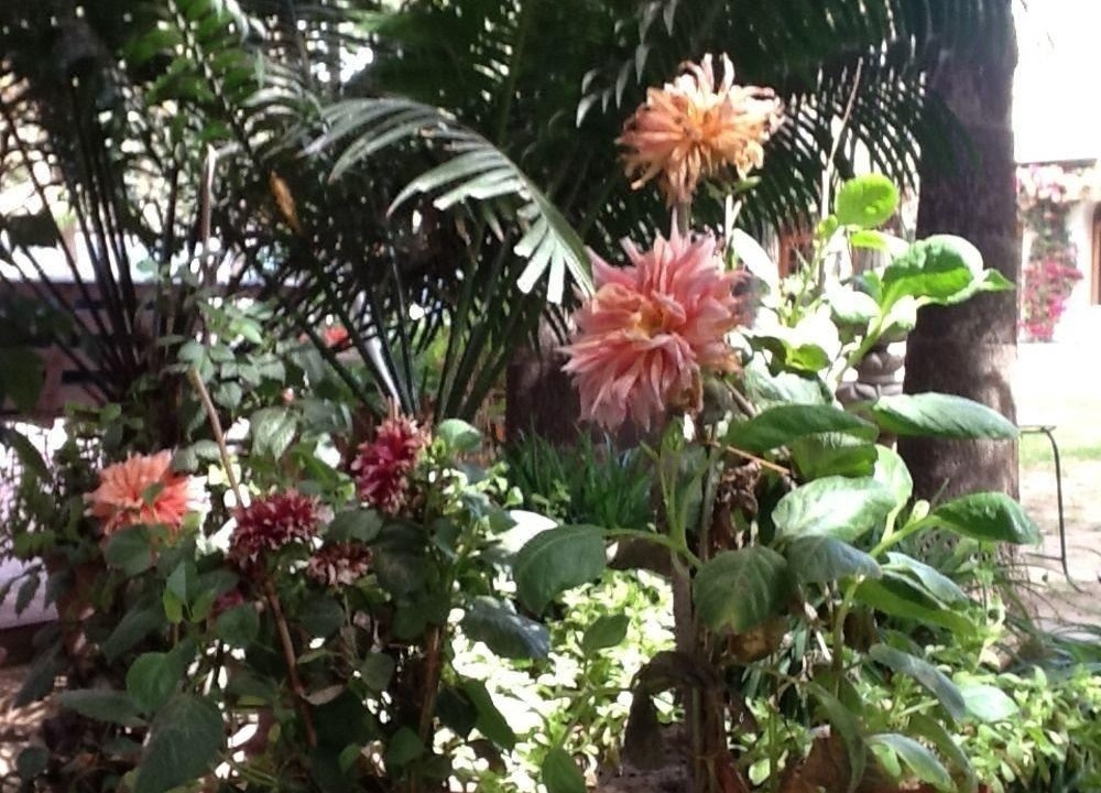 Photo of Others in Bani Park