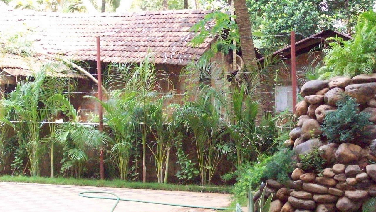 Photo of Others in Dongorim