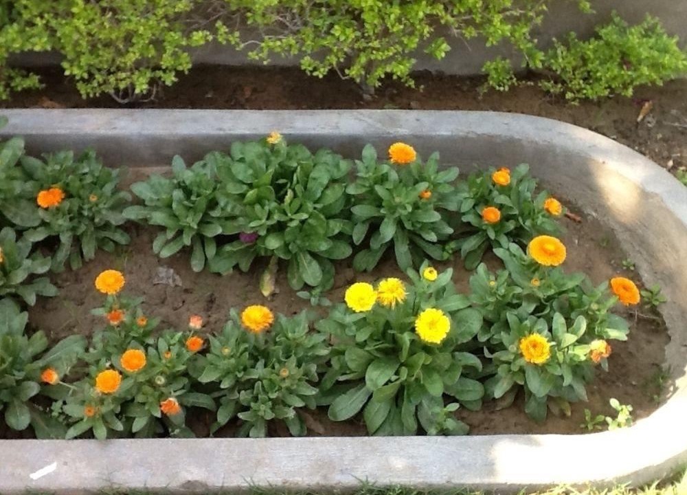 Photo of Outdoor in Bani Park