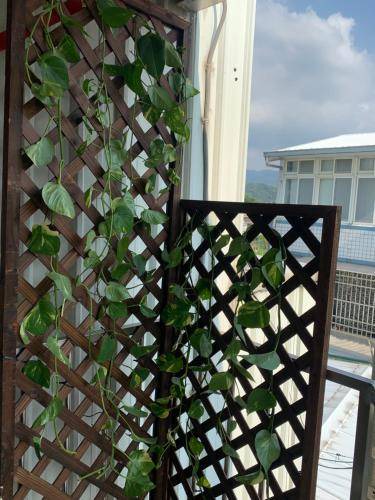 Photo of Patio Balcony in Miaoli
