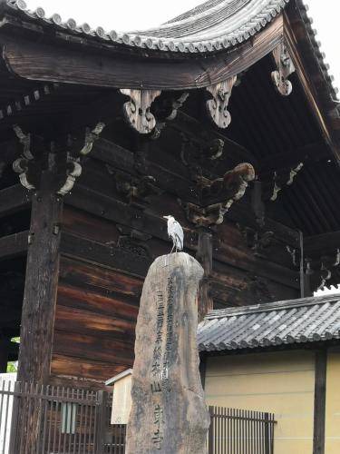 Photo of Others in Minami