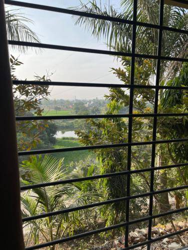 Photo of Others in Ujjain